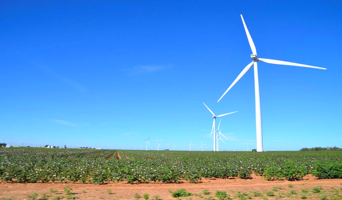 Fisher County Wind