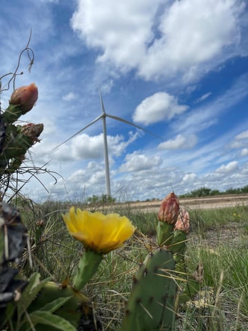 White Mesa Wind Crockett County Texas Blattner Energy (2)